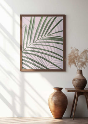Palm Leaf Shadow Poster