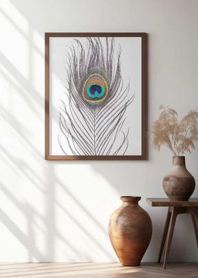 Peacock Feather Poster