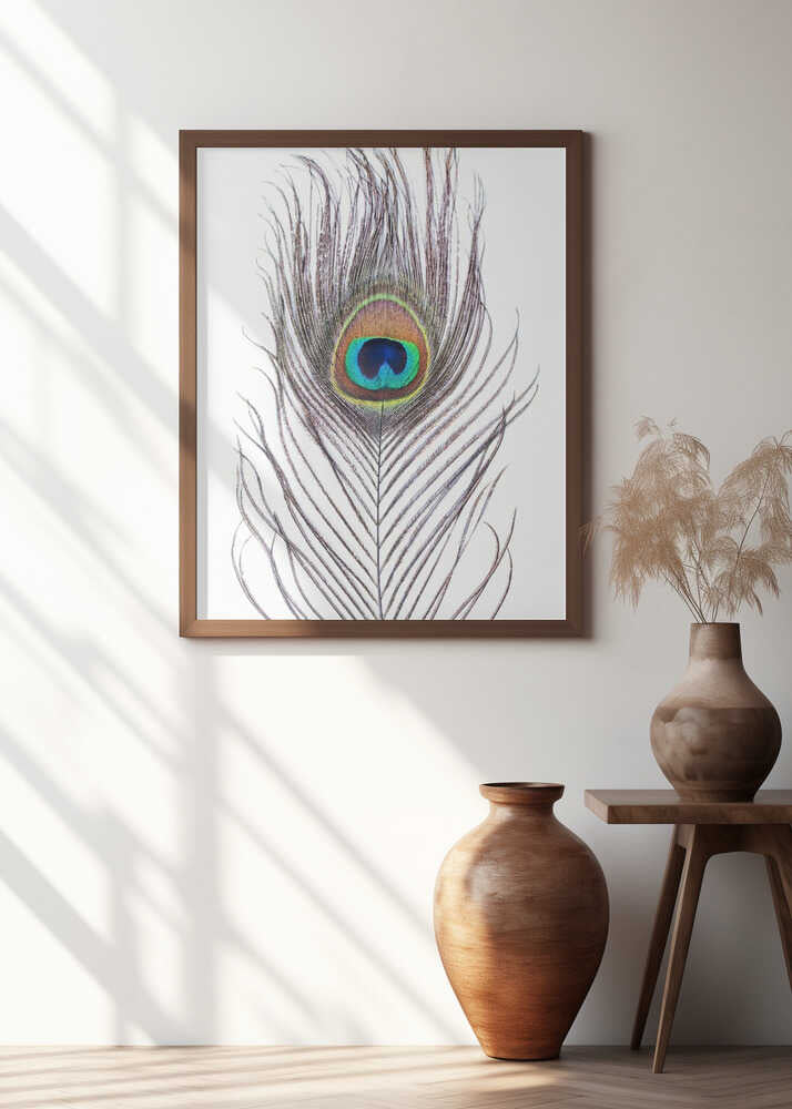 Peacock Feather Poster