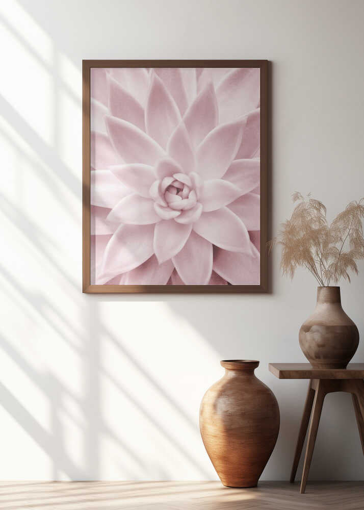 Pink Succulent Poster