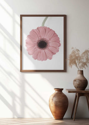 Pink Gerbera II Poster