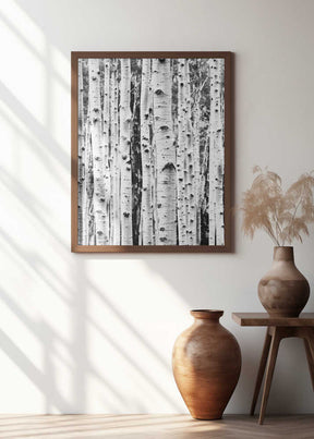 Birches Poster