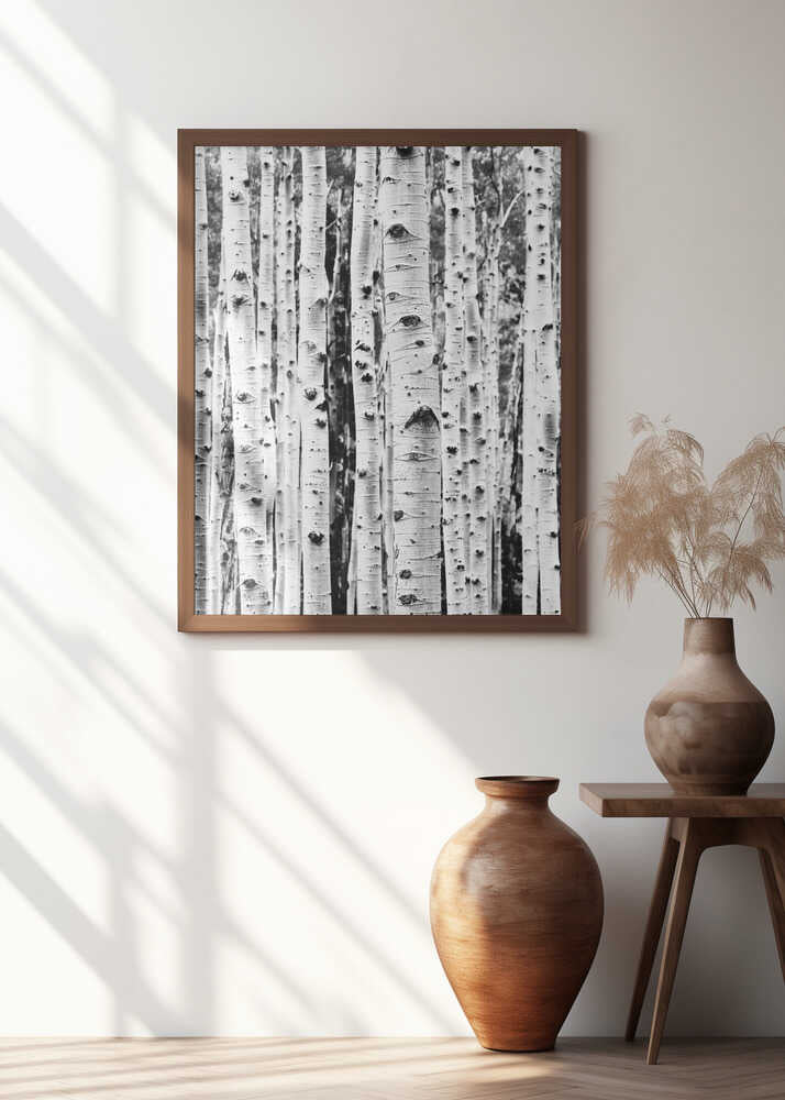 Birches Poster