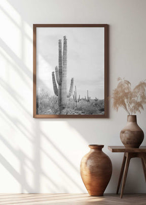 Saguaro B&amp;W Poster