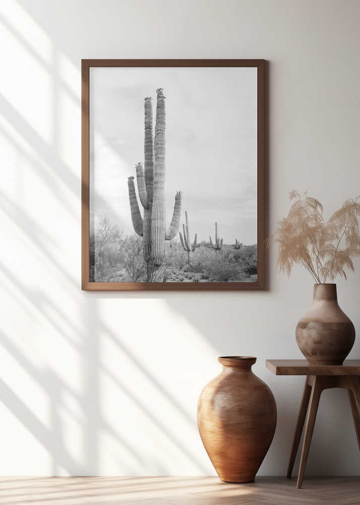 Saguaro B&amp;W Poster