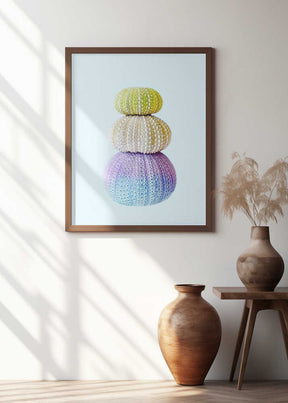 Sea Urchins Poster
