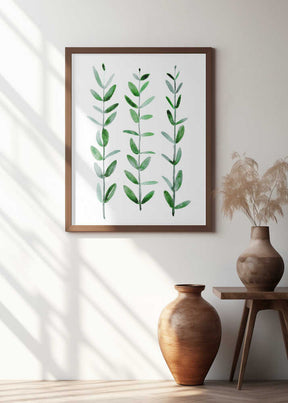 Watercolor eucalyptus parvifolia Poster