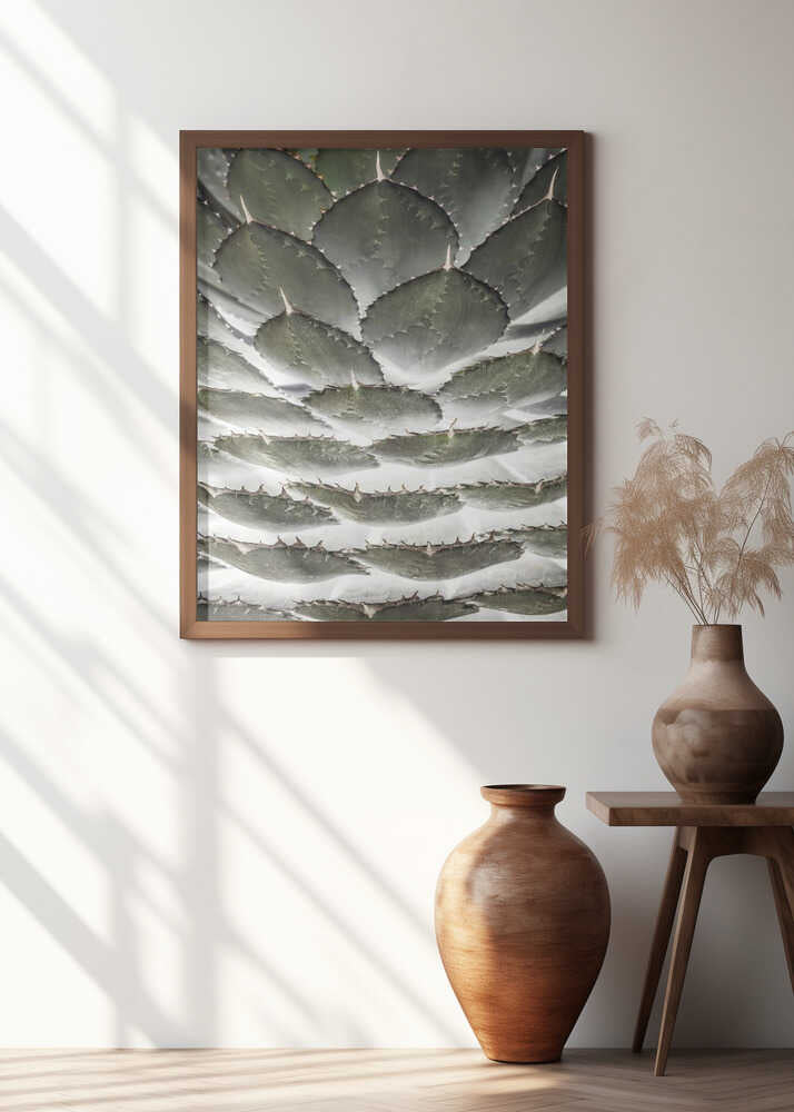 Spiral Succulent Poster