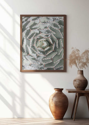 Spiral Succulent Maze Poster