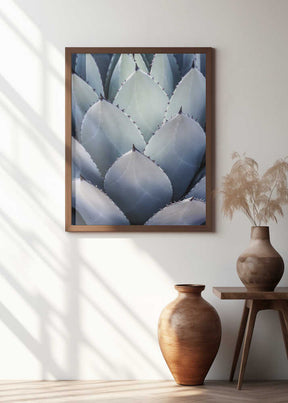 Agave Geometry Poster