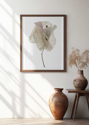 Petal Whisper Poster
