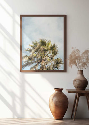 Sunlit Fronds Poster