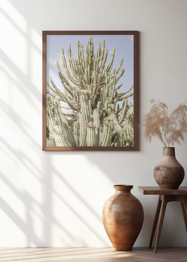 Cactus Symphony Poster