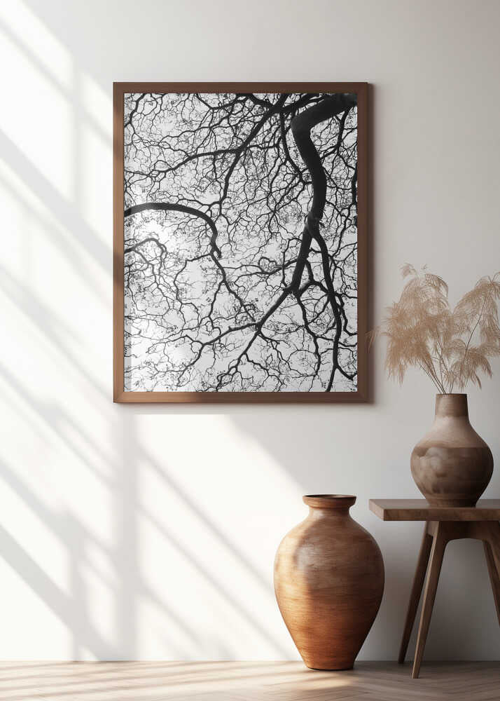 Branches' Dance Poster