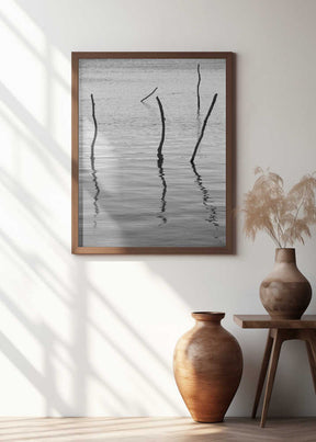 Silent Reflections Poster
