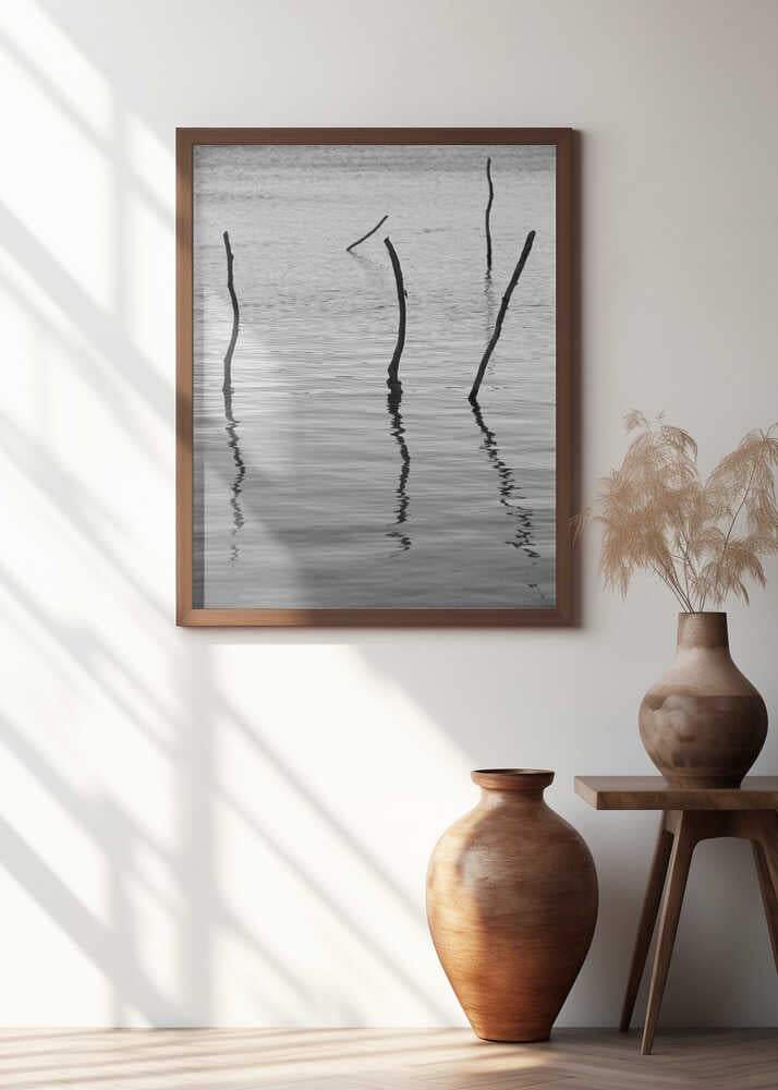 Silent Reflections Poster