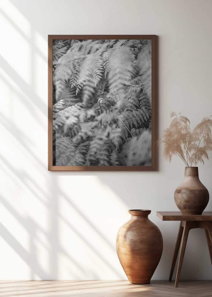 Black And White Photograph Poster
