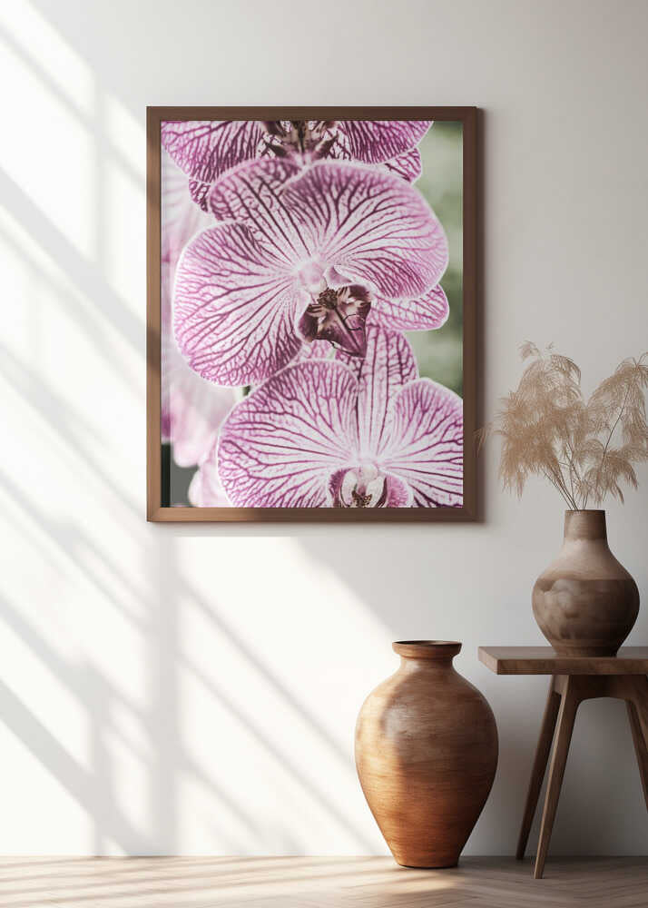 Tiger Blooms Poster