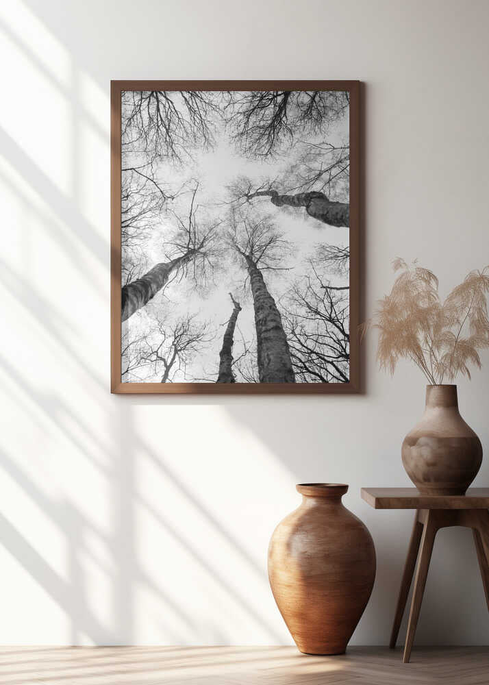 Reaching Branches Poster
