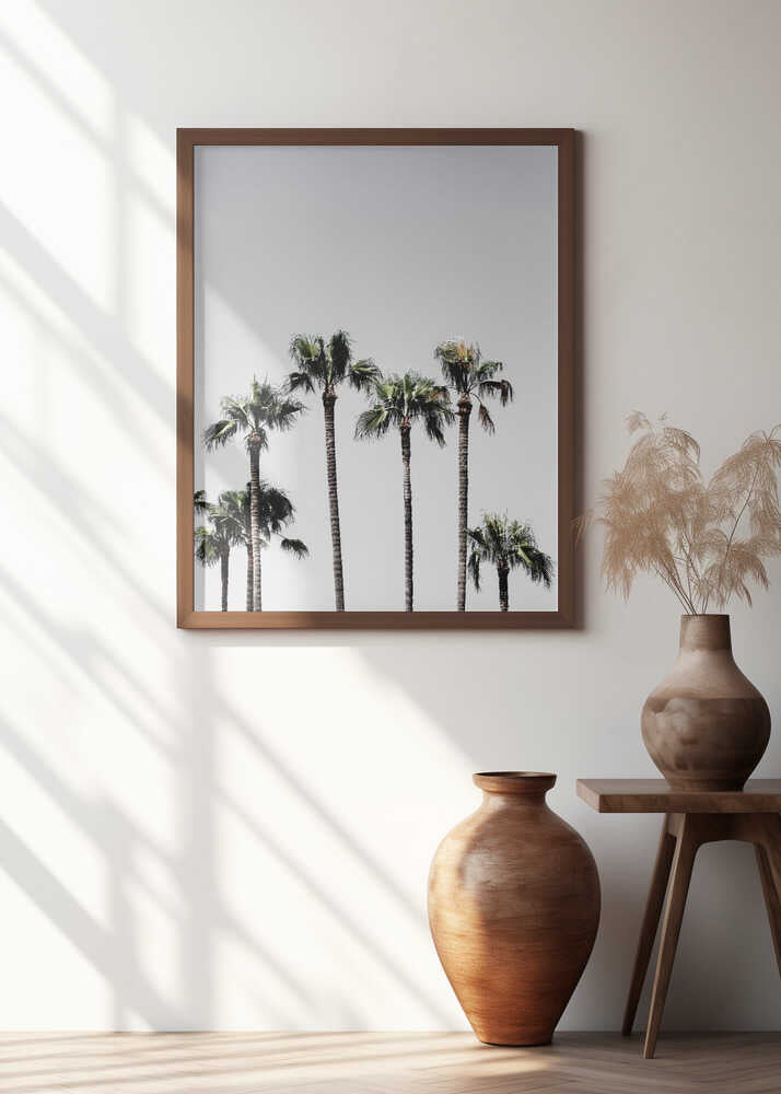 Palm Trees 5 Poster