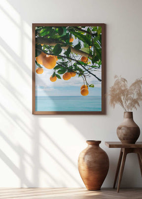 Amalfi Coast Oranges IV Poster