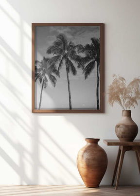 Hawaiian Palms IV Poster