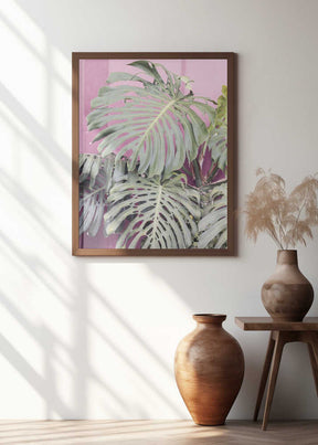 Monstera leaf La Muralla Poster