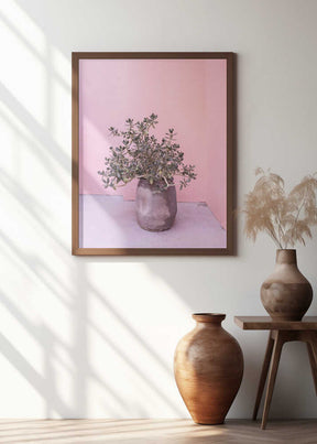 Spanish Rustic Succulent Poster