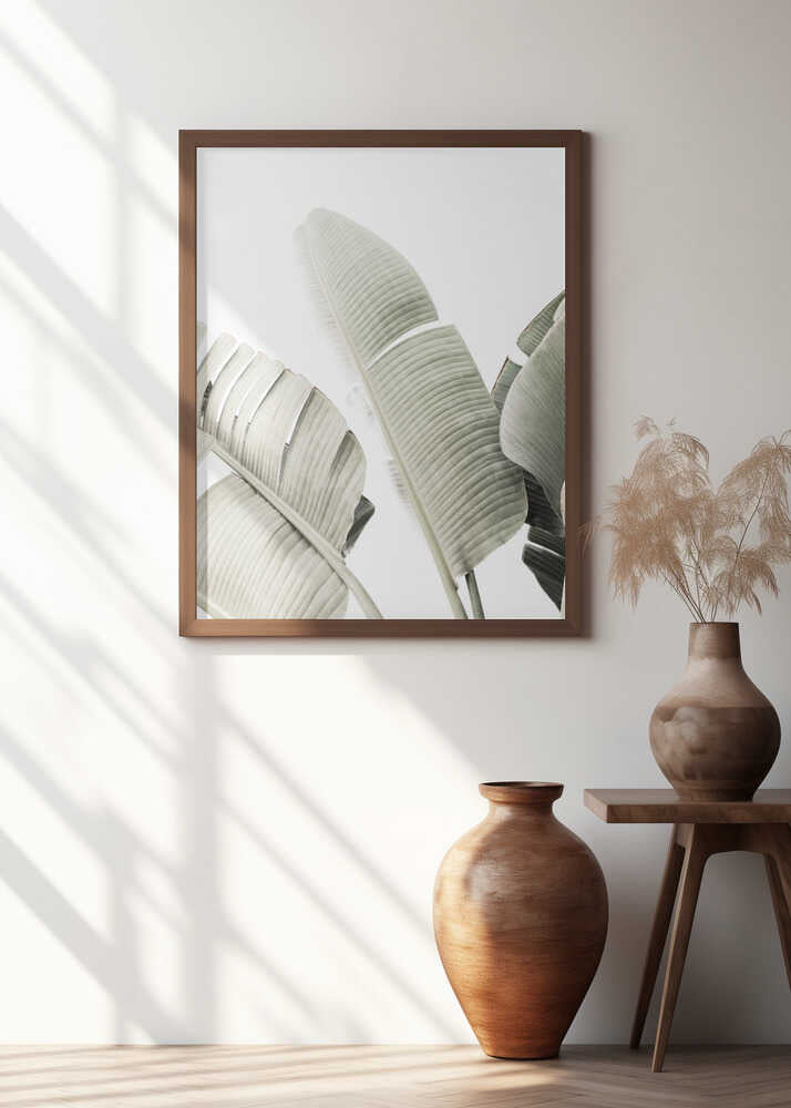 Banana leaf 1 Poster