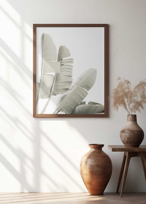 Banana leaf 2 Poster