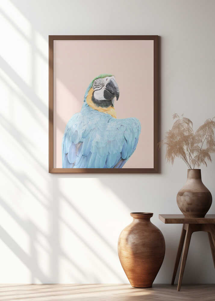 Blue Macaw Poster