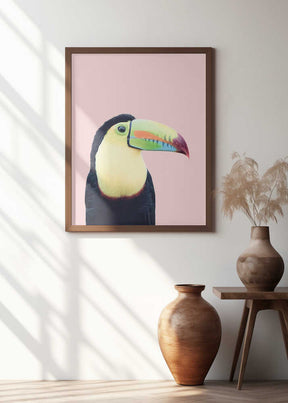 Toucan on Pink Poster