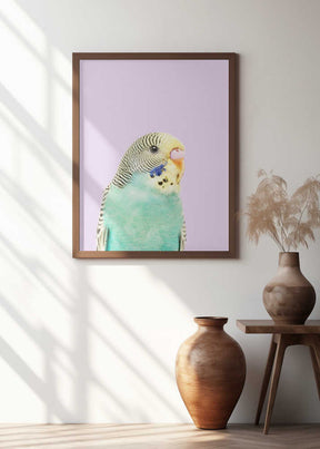 Badgie Poster
