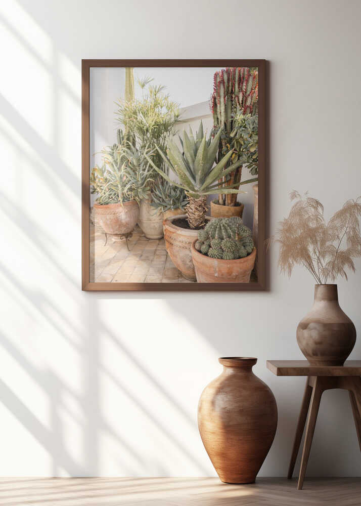 Garden with Various Potted Succulents and Cacti Poster