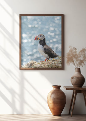 Scottish Puffin Poster