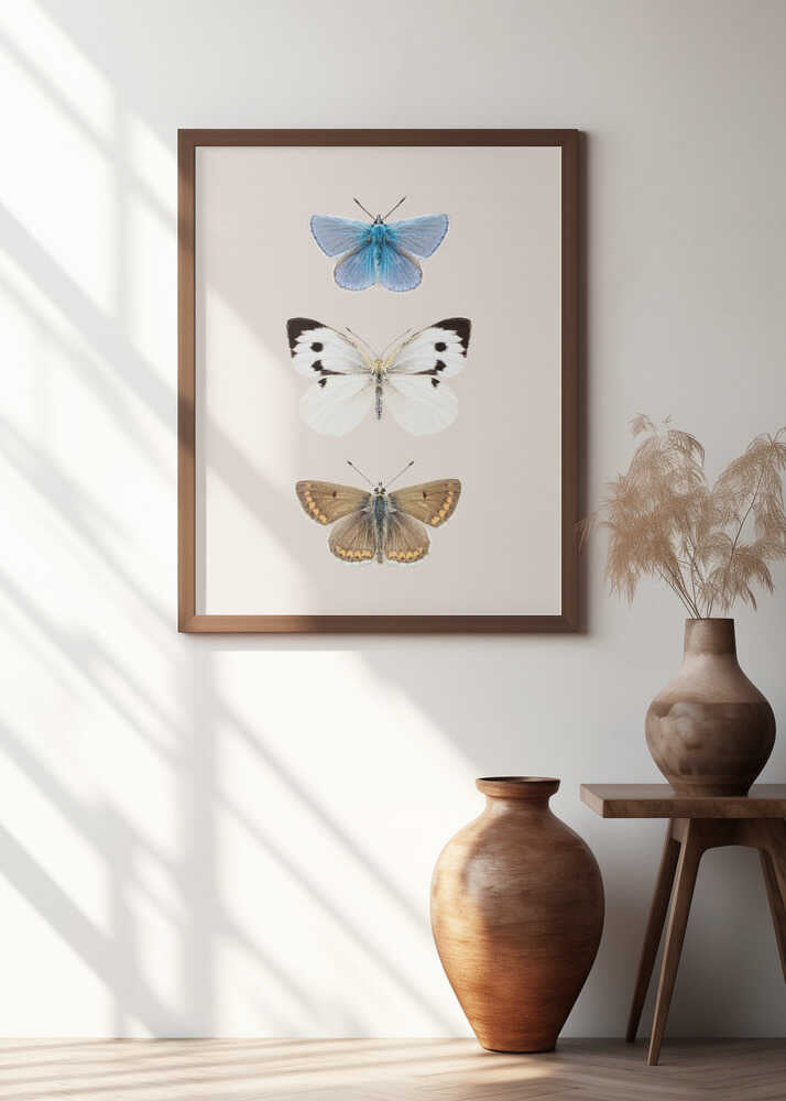 English Butterlies 2 Poster