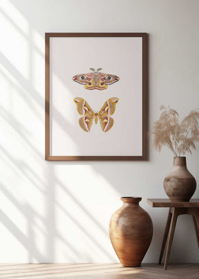 Moths Poster