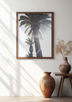 Palm Trees Poster
