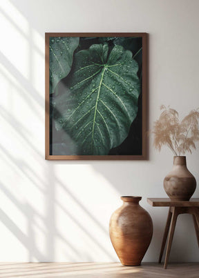 Rain Kissed Leaves Poster