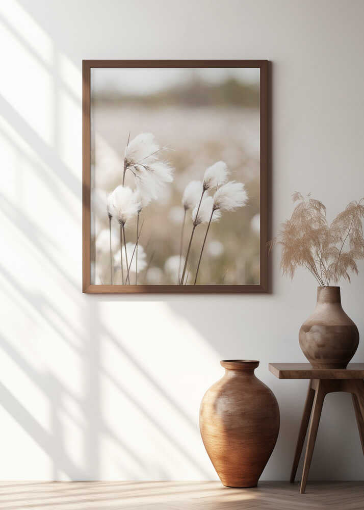 Cotton Grass - Eriophorum Poster
