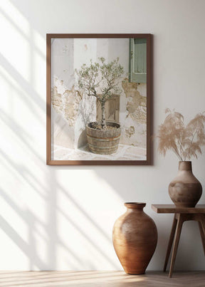 Small Olive Tree In a Wooden Barrel Poster