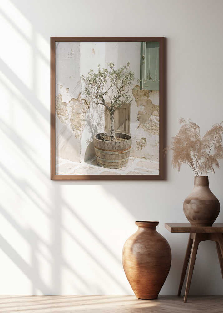 Small Olive Tree In a Wooden Barrel Poster