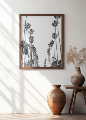 Palm Alley Poster
