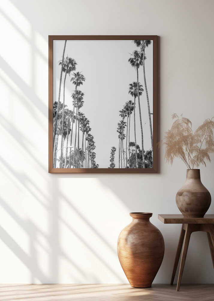 Palm Alley Poster