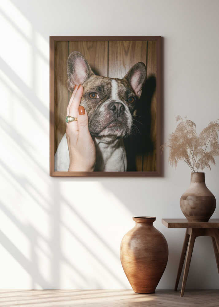 Petting a Frenchie Poster