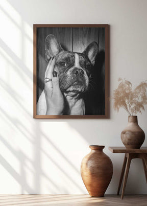 Petting a Frenchie Poster