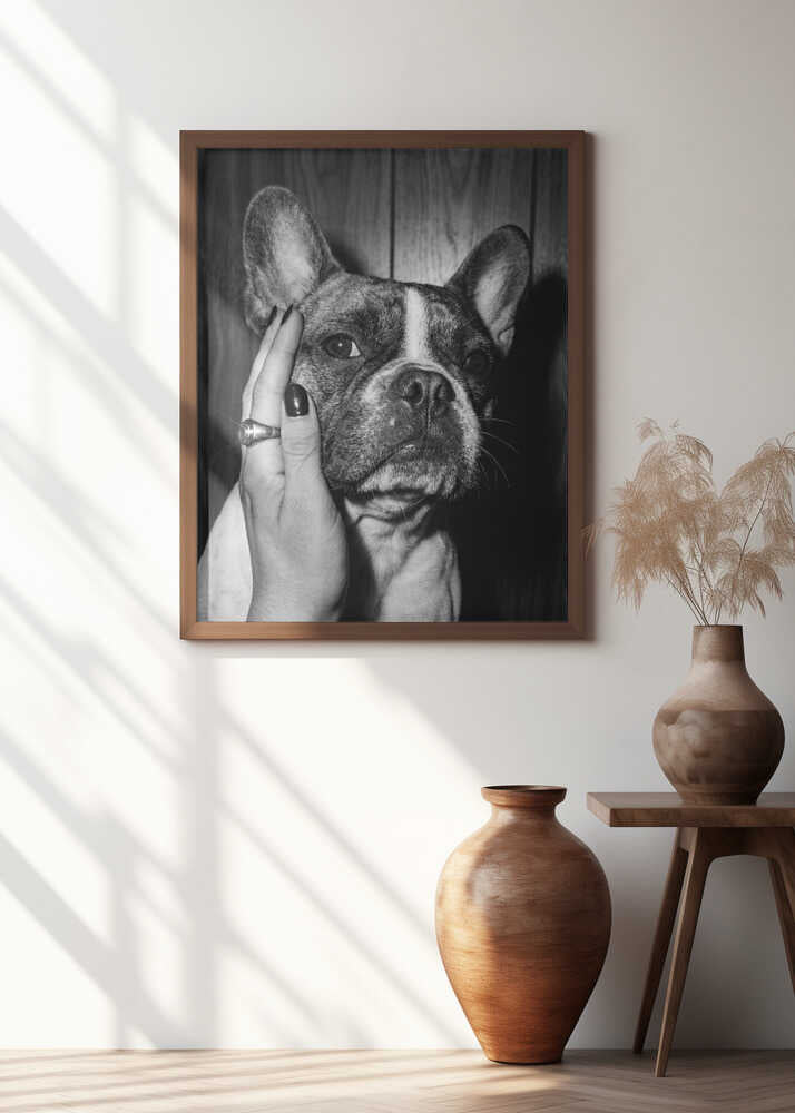Petting a Frenchie Poster