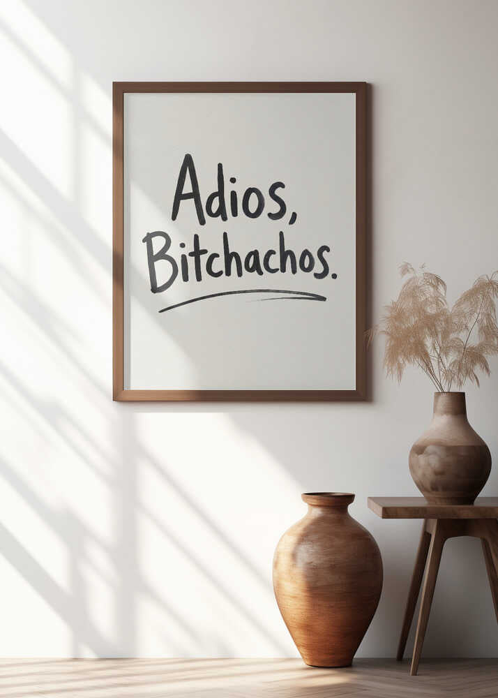Adios Bitchachos Poster
