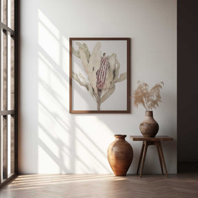 Banksia Poster