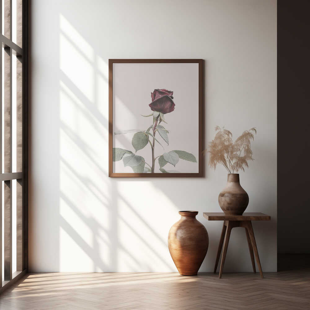 Rose Poster